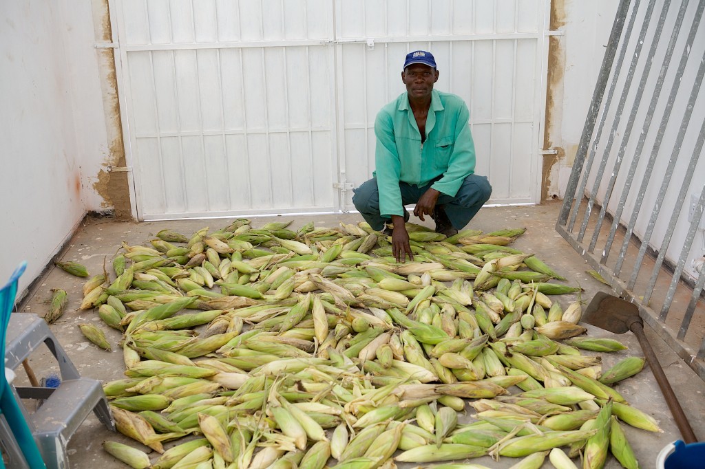 Zephania, our trainer, sits with the first fruits of the harvest.