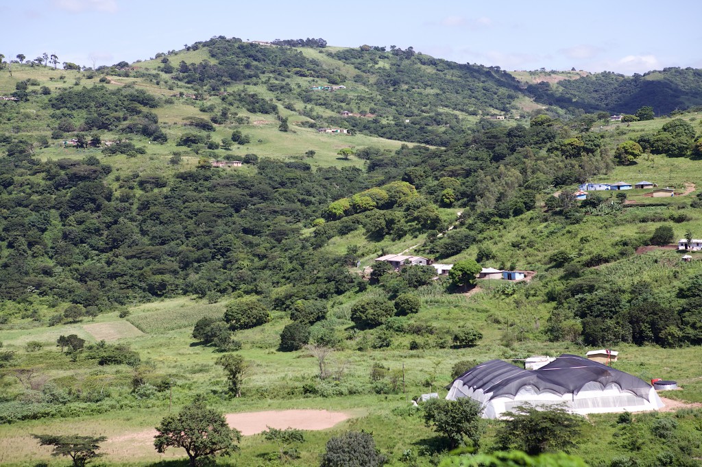 Bird's eye view of the Mdumazulu valley. Our field can be seen at the 10 o'clock position to the white green house. 