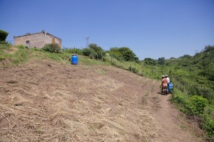 The steep slope of the Nkangala Garden