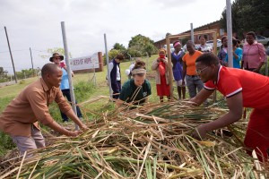Nicole (centre) gets stuck into compost making in Bhekulwandle.